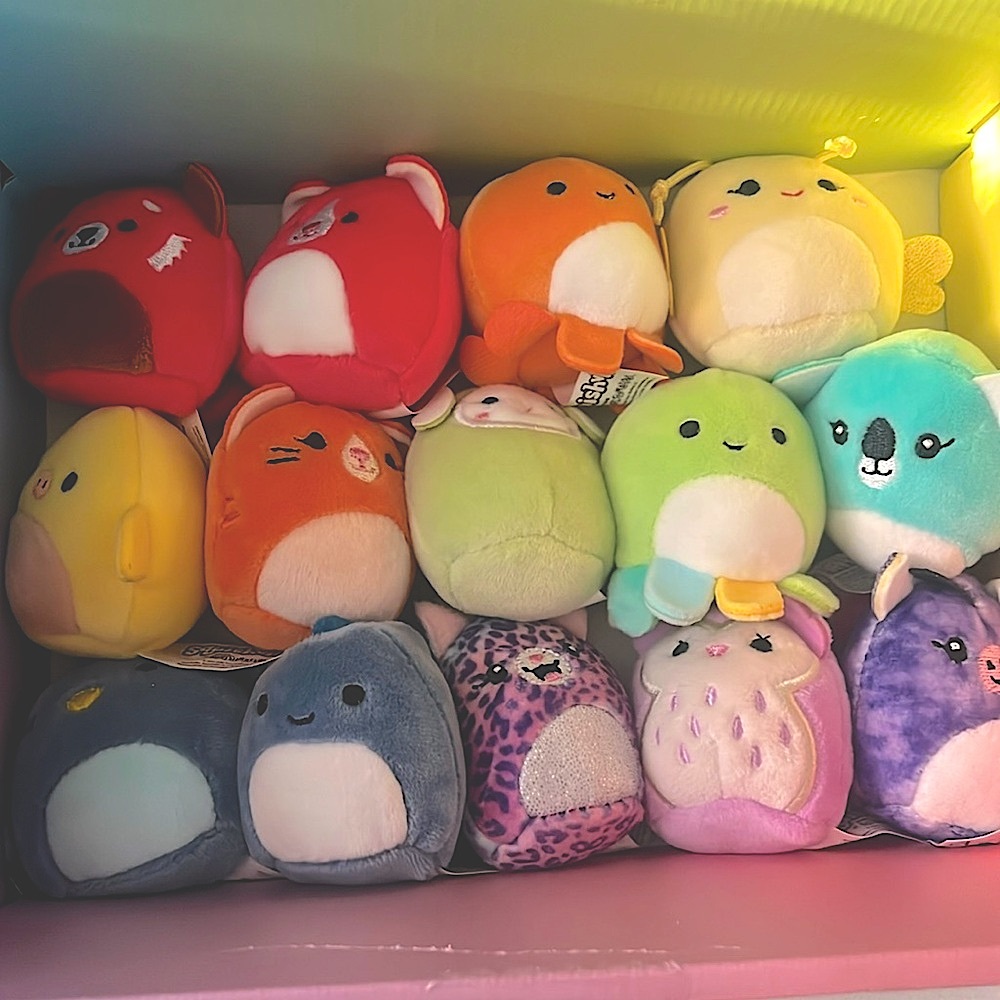 14pc Squishville Set 🌈😍